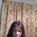 ���� ������, ������������, 40 ��� - ��������� 20 ������ 2026 � ������ ���� ����������