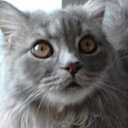 ���� ����, �����, 46 ��� - ��������� 19 ������� 2026 � ������ ���� ����������