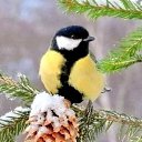 ���� �����, ������, 67 ��� - ��������� 18 ������ 2024 � ������ ������ ��������