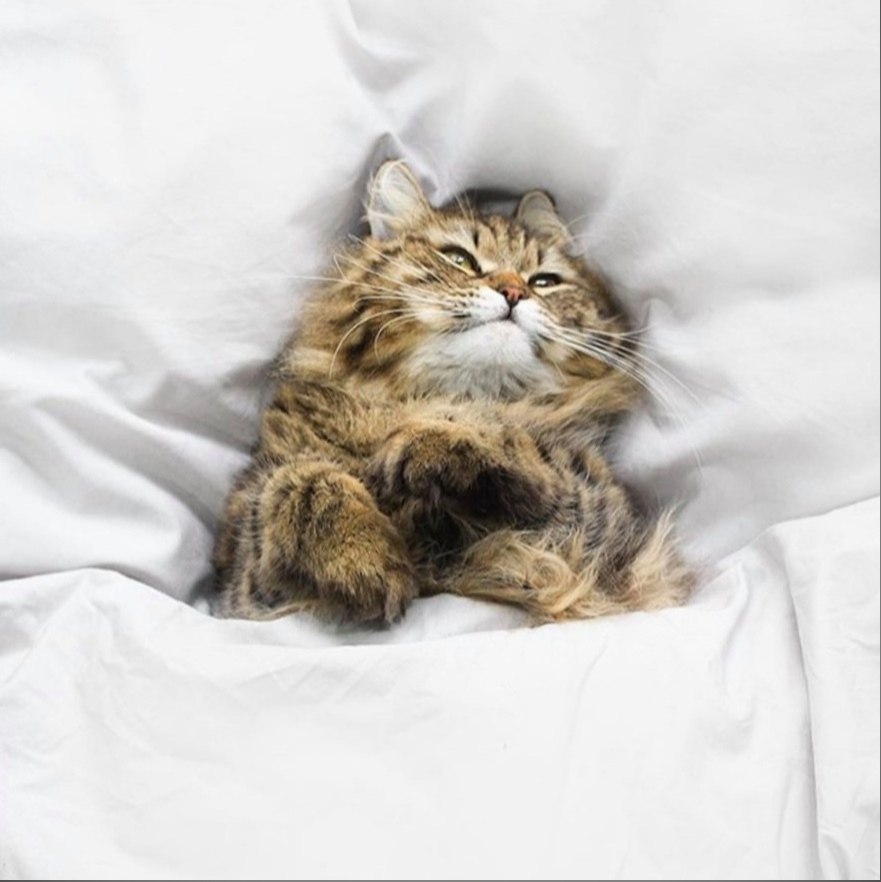 — Я веду прямой репортаж из кровати. Здесь реально круто! - 3