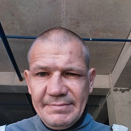 �������, 43 ����, ���������