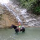 ���� �������, ������ �����, 52 ���� - ��������� 5 �������� 2025