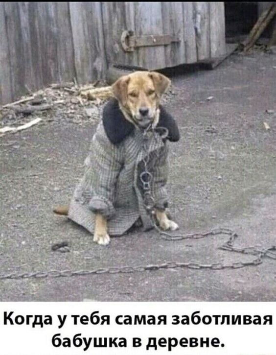   - 6  2024  20:07