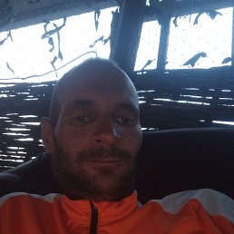 , 37, 