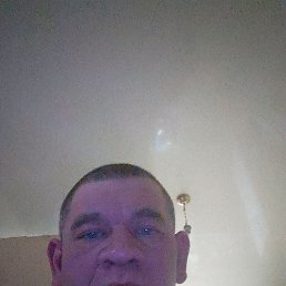 ������, 37 ���, ����