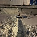 ���� �����, ������, 61 ��� - ��������� 3 ������ 2024 � ������ ���� ����������