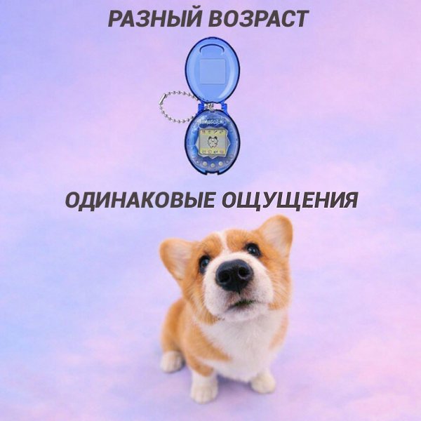 ���� �����: - 3
