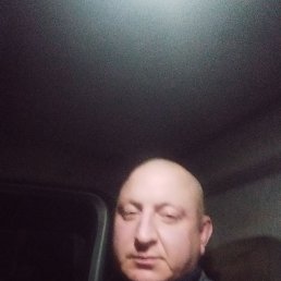 ���� ����, ����������, 42 ���� - ��������� 14 ����� 2024