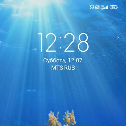 �����, ������, 46 ���