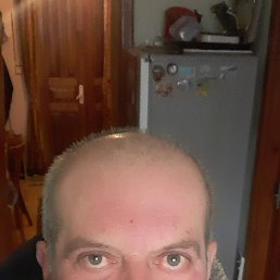 , 50, 