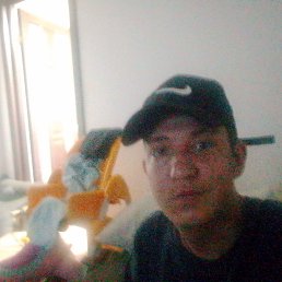 , 26, 