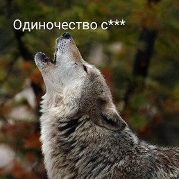 ������, ������������, 43 ����