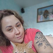 ����, 41 ���, ���������