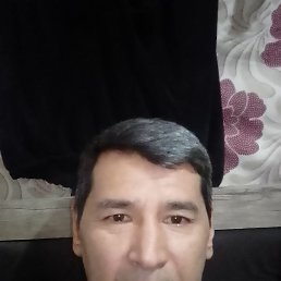 , 44, 