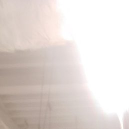 ����, ����, 36 ���