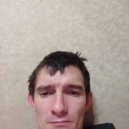 �����, 29 ���, �����������