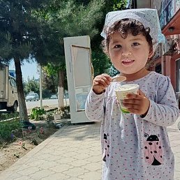 ��������, ������, 26 ���