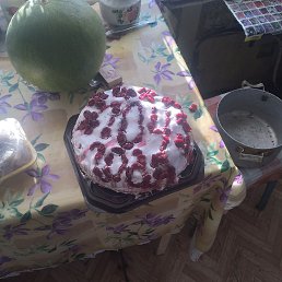 ���� ������, �����, 48 ��� - ��������� 19 ������ 2023