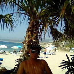 �����, ������, 41 ���