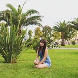���� E L, ���������, 33 ���� - ��������� 4 ��� 2026