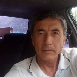 Kamol, ������������, 50 ���