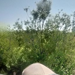  , 32, 
