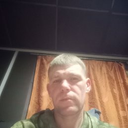 ����, 37 ���, ����������