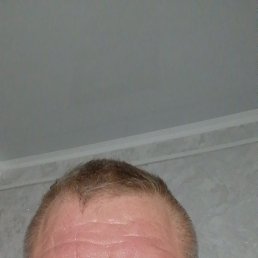 , 58,  