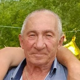 ����, �������, 65 ���