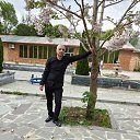 ���� �����, ����������, 46 ��� - ��������� 6 ���� 2024 � ������ ���� ����������