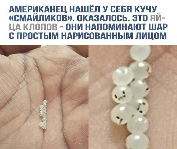 ��� ��� ��� �������� ���