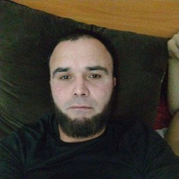 , 41, 