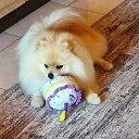 ���� H&eacute;l&egrave;ne, ������, 49 ��� - ��������� 12 ���� 2026 � ������ ���������