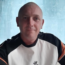 , 37, 