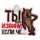 ���� ����, �������� - ��������� 8 ���� 2024