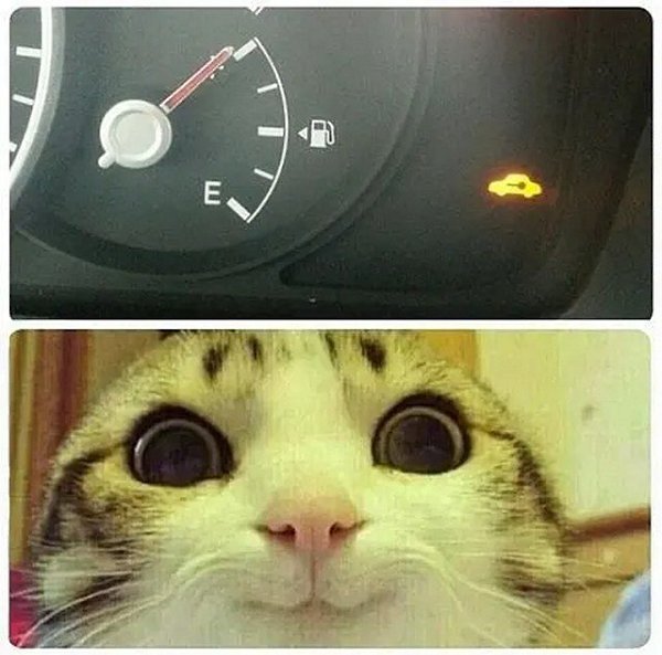 �� ����� - ������������� ������ �1 - 29 ������ 2025 � 16:58