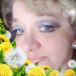 �����, ������-���������