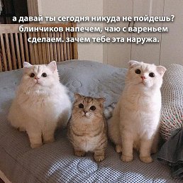 �����, ����