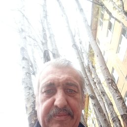 , 53, 