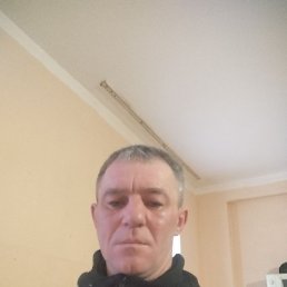 ����, ������, 41 ���