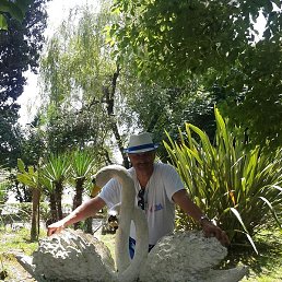 ������, ������������, 59 ���