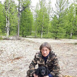 ����, 66 ���, ������