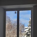 ���� �����, �������, 48 ��� - ��������� 20 ������� 2023 � ������ ������ ��������