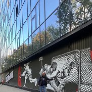 �����, 36 ���, ������