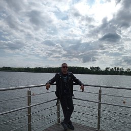 , 53, 