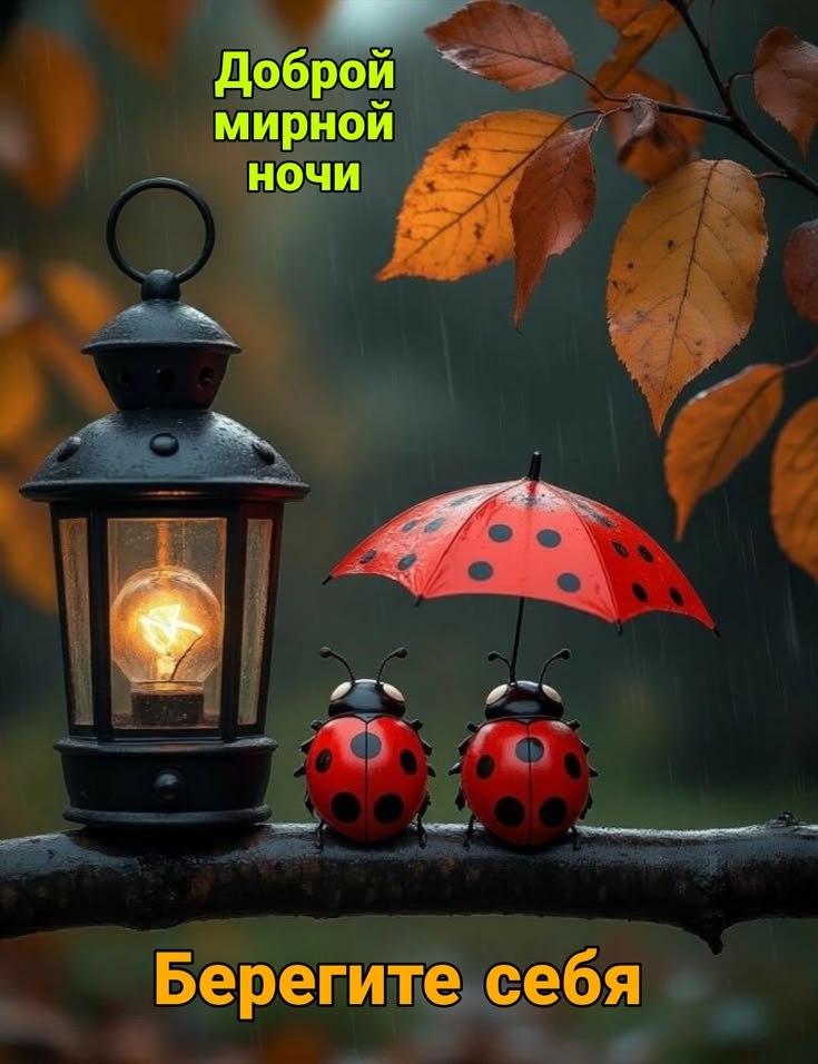 �� ����� ������! - 4 ���� 2026 � 22:42