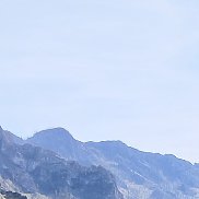 , 37 , 