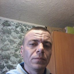 , 41, 