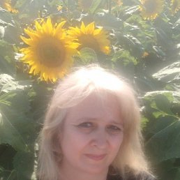 ���� �������, ���������, 50 ��� - ��������� 9 ����� 2026