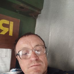 , 61, 